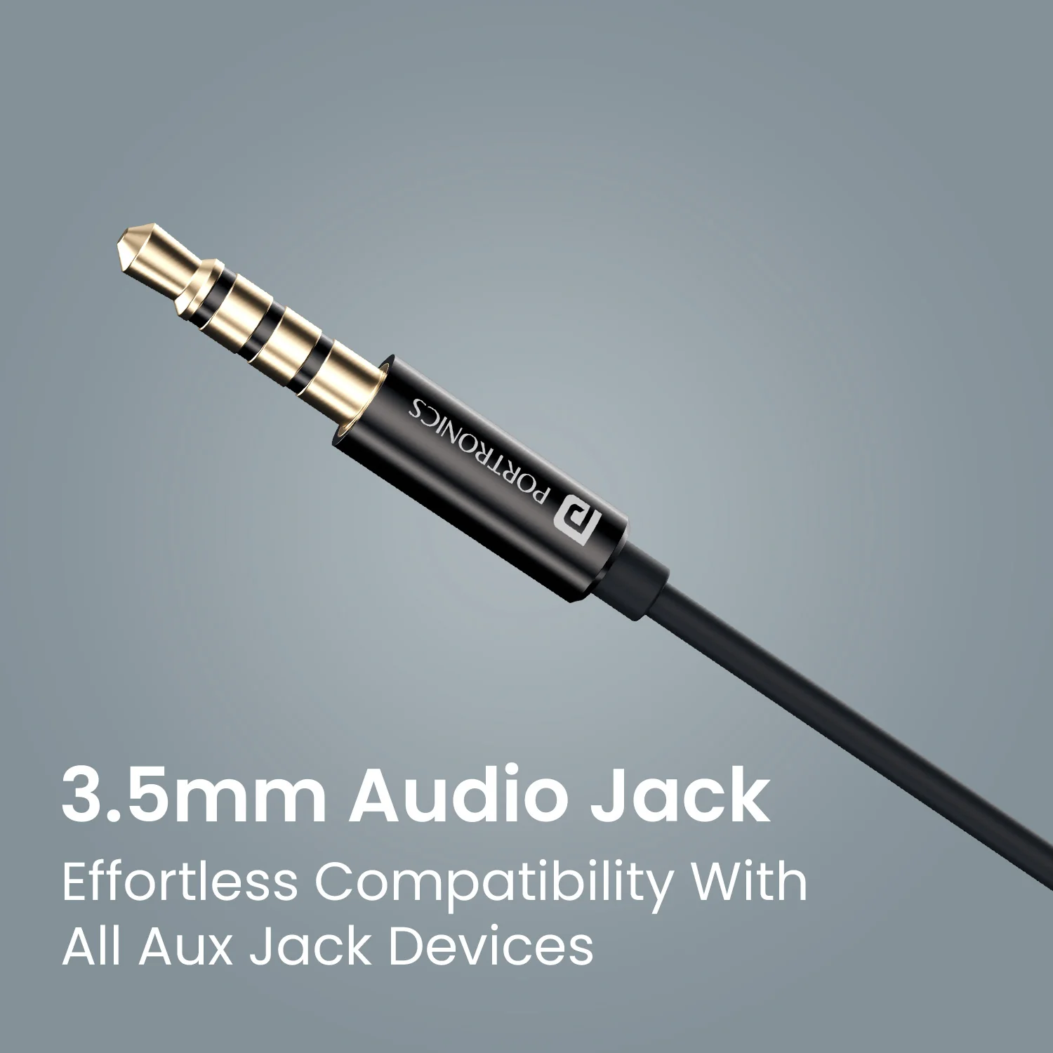 Conch Sigma A - Image 4