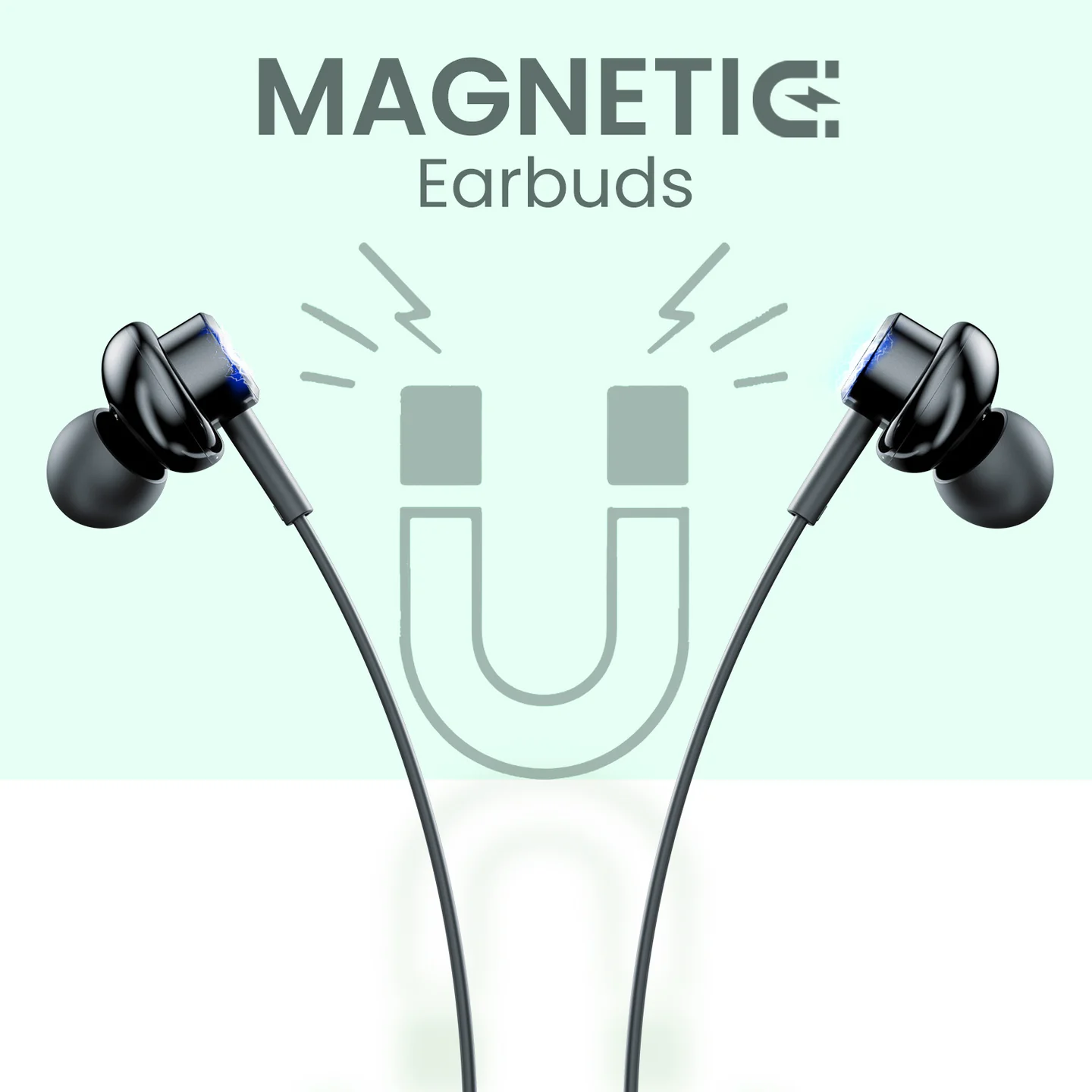 Conch Gamma C - Image 2